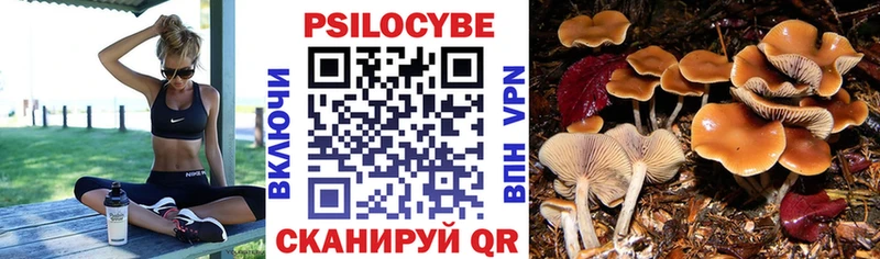 Галлюциногенные грибы мицелий  Магас 